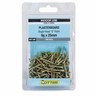 SCREW PLASTER GOLD FINE 6GX25MM 100PK