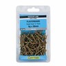 SCREW PLASTER GOLD FINE 6GX30MM 100PK