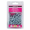 SCREW SELF TAP PAN ZP 10GX25MM 100PK