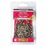 SCREW SELF TAP PAN SQ 10X20 SS302 50PK