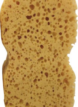 CAR WASH SPONGE DIRT BUSTER