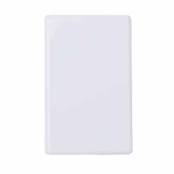 BLANK PLATE GOLDAIR