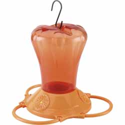 Tui Nectar Feeder