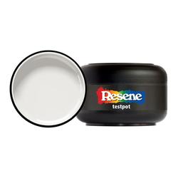 TESTPOT BLACK WHITE 60ML
