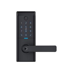Smart entrance lever